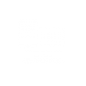 Computer and smart phone icon