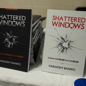 Shattered Windows Book Cover